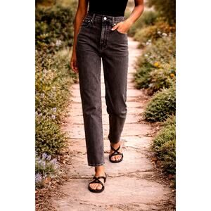 Madewell Mid-Rise Perfect Vintage Jeans Lunar Wash 25